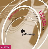 GALLI STRINGS LS1254